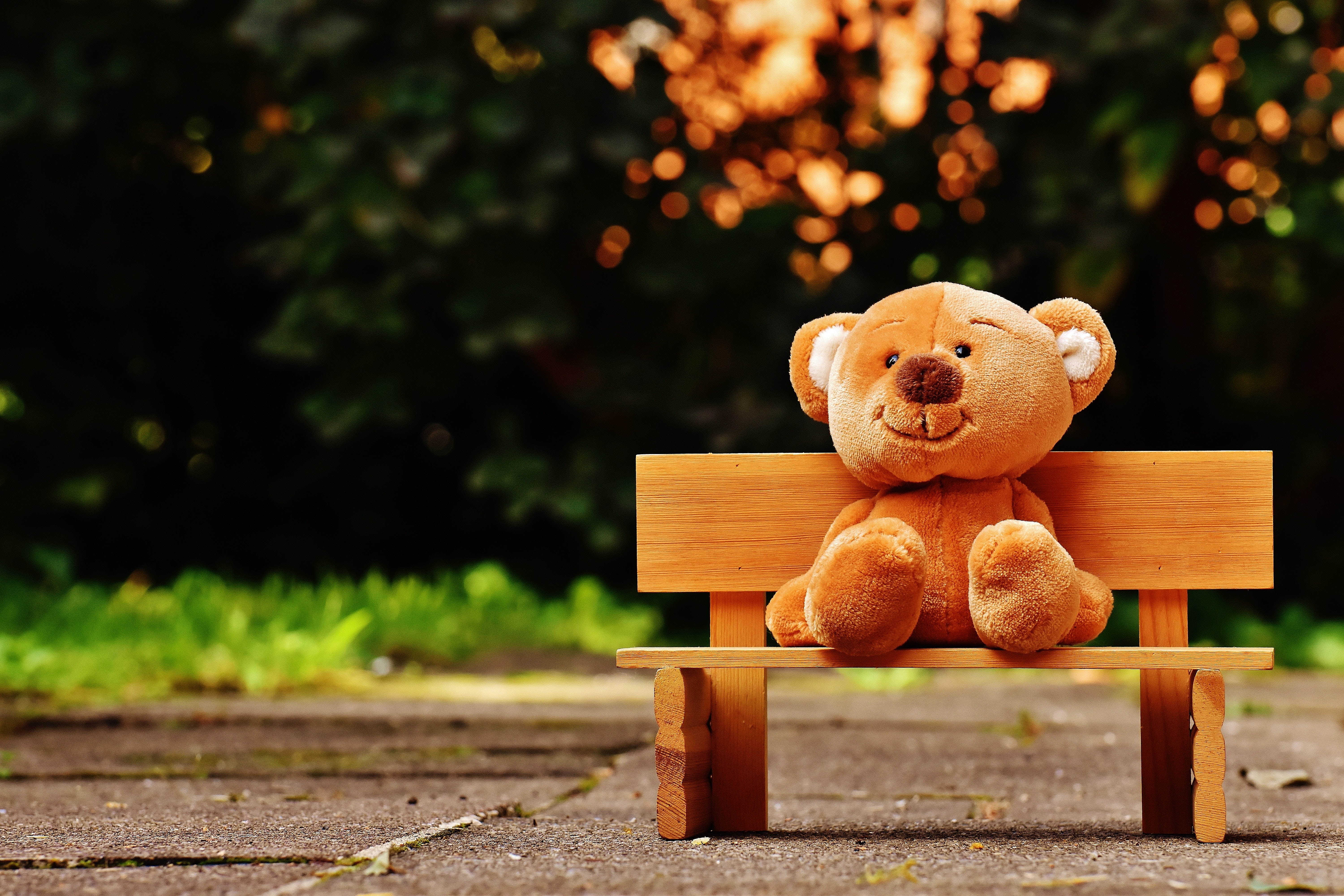 bear-bench-child-207891